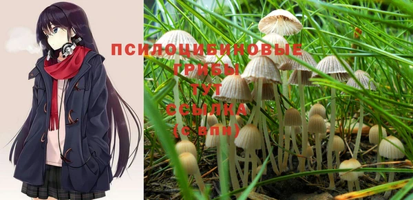 дурь Волоколамск