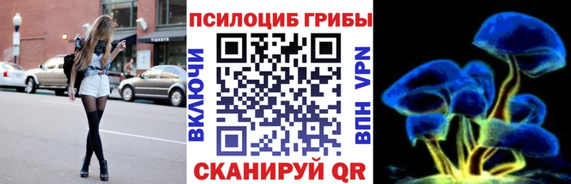 Галлюциногенные грибы Cubensis  это наркотические препараты  Гагарин 
