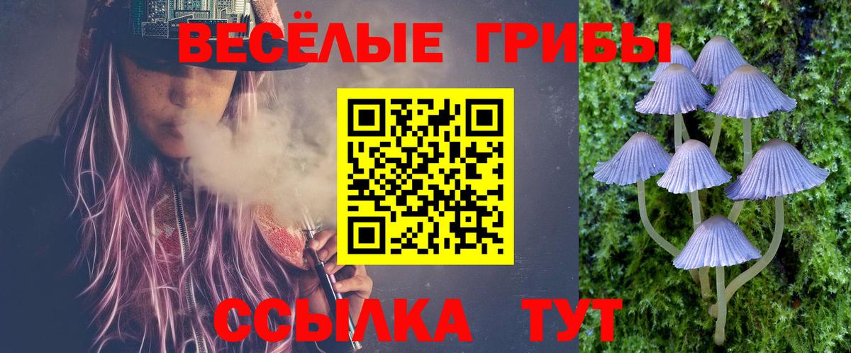 Псилоцибиновые грибы Psilocybe  закладка  Вход с VPN  Гагарин  Галлюциногенные грибы Cubensis 